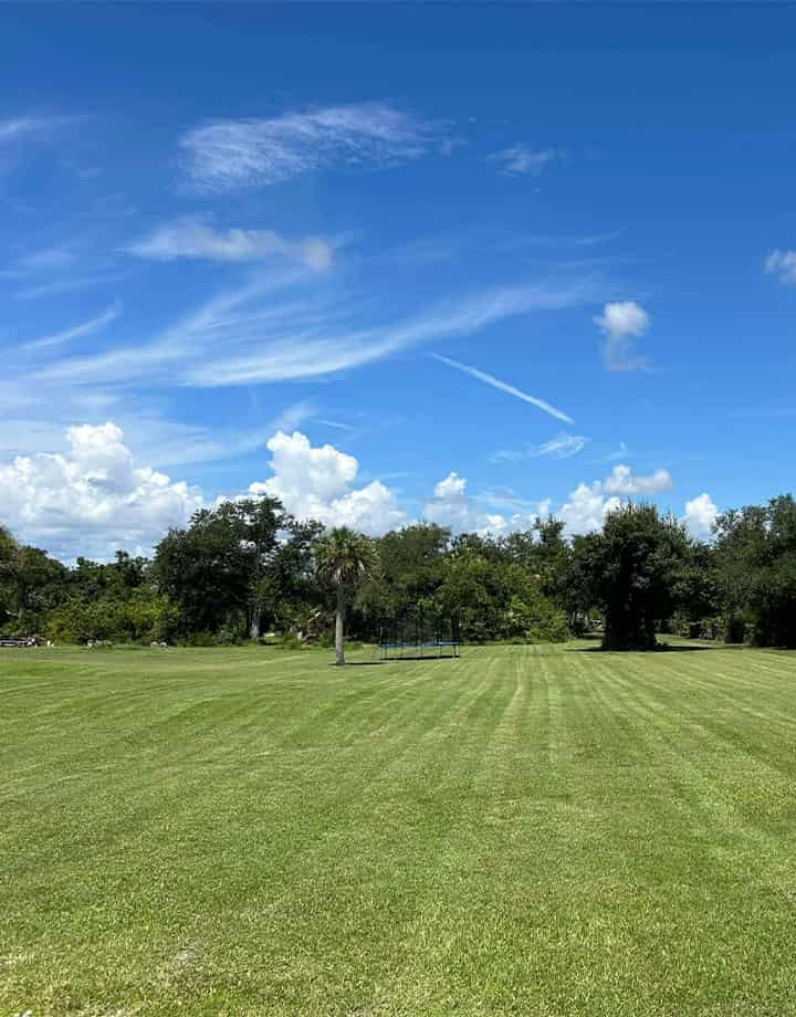 Very large, freshly mowed lawn in Punta Gorda, FL.
